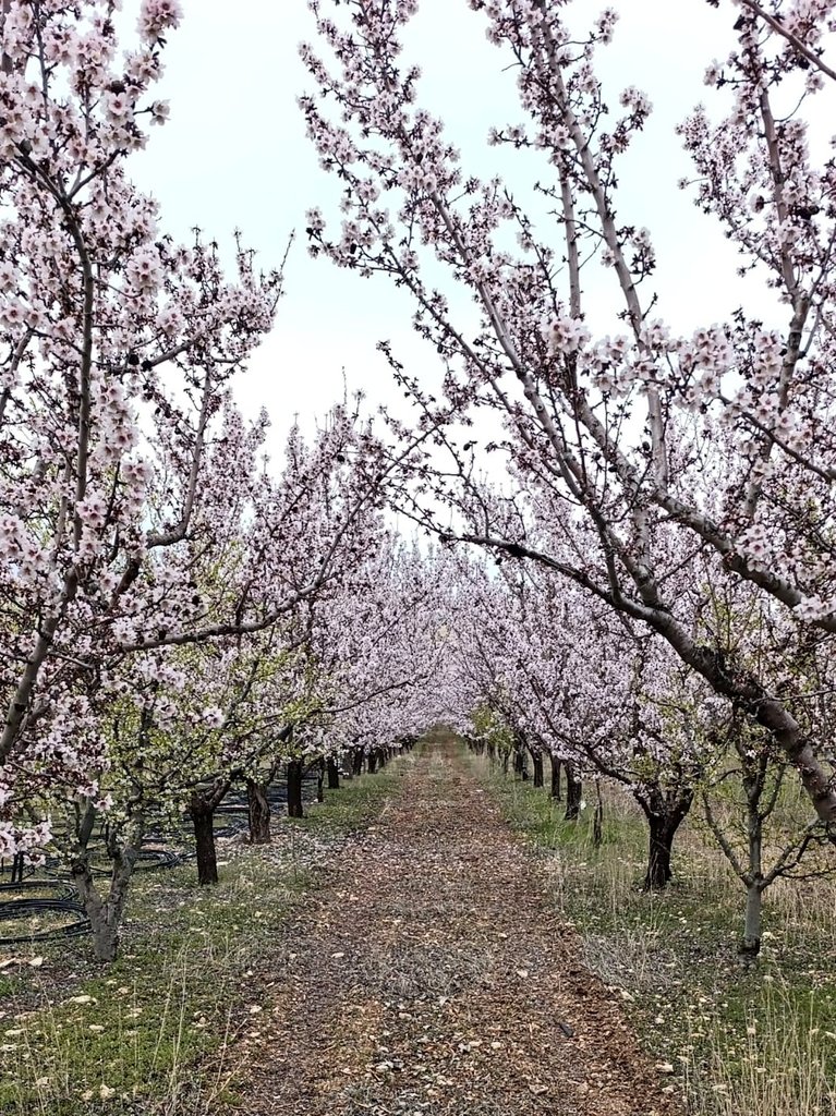 aisebalasar's tweet photo. “sana yapılan sana değil, yapanın kaderine yazıldı” cümlesinin verdiği rahatlık https://t.co/BEP3zt0za6