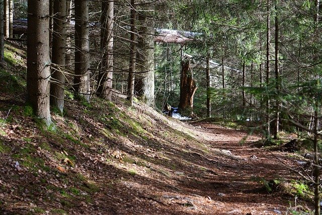 Troy Goodlow tweet media