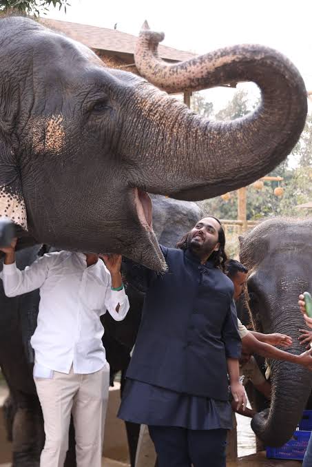 Kavish aziz tweet media