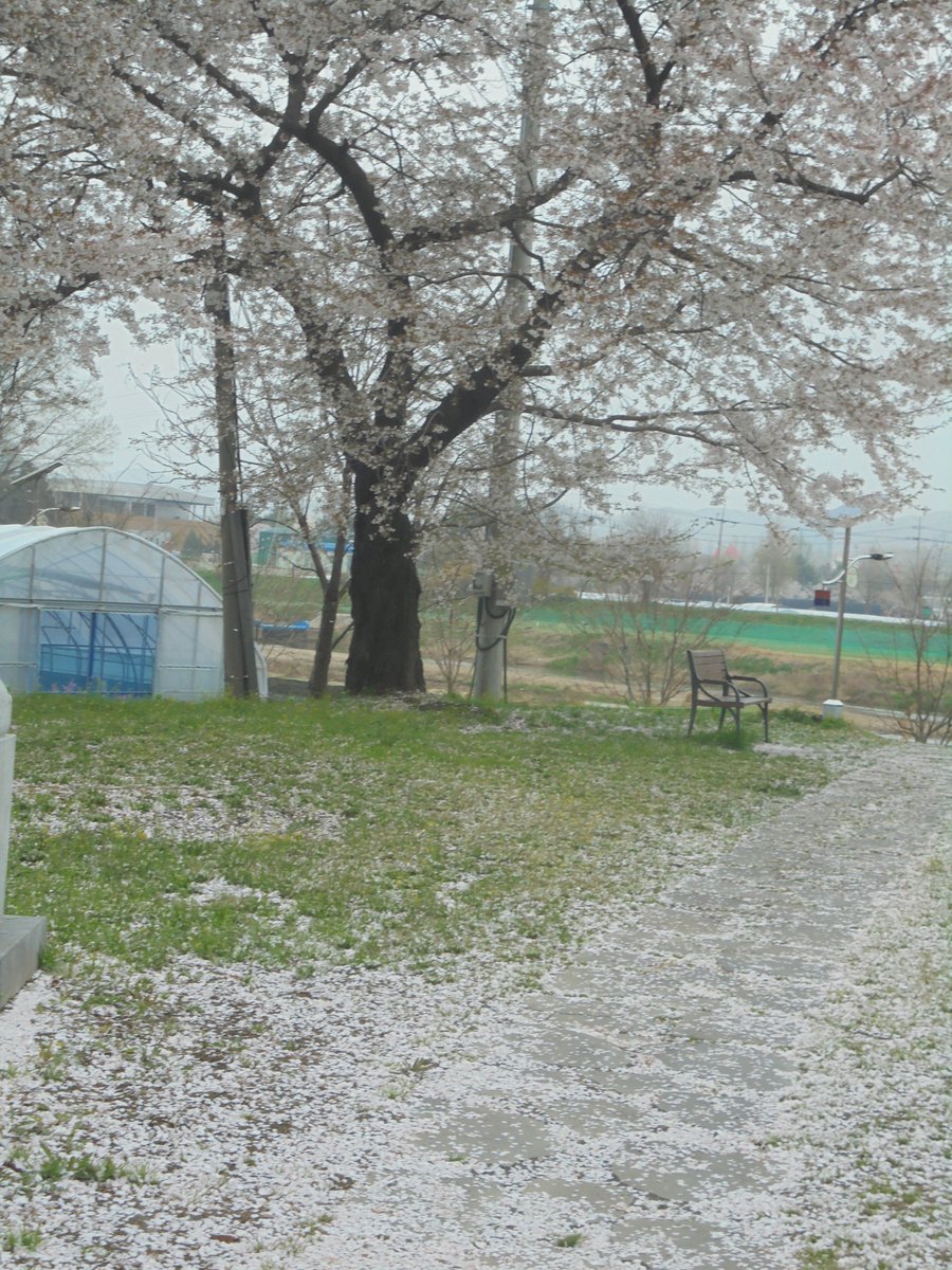 이근제 tweet media