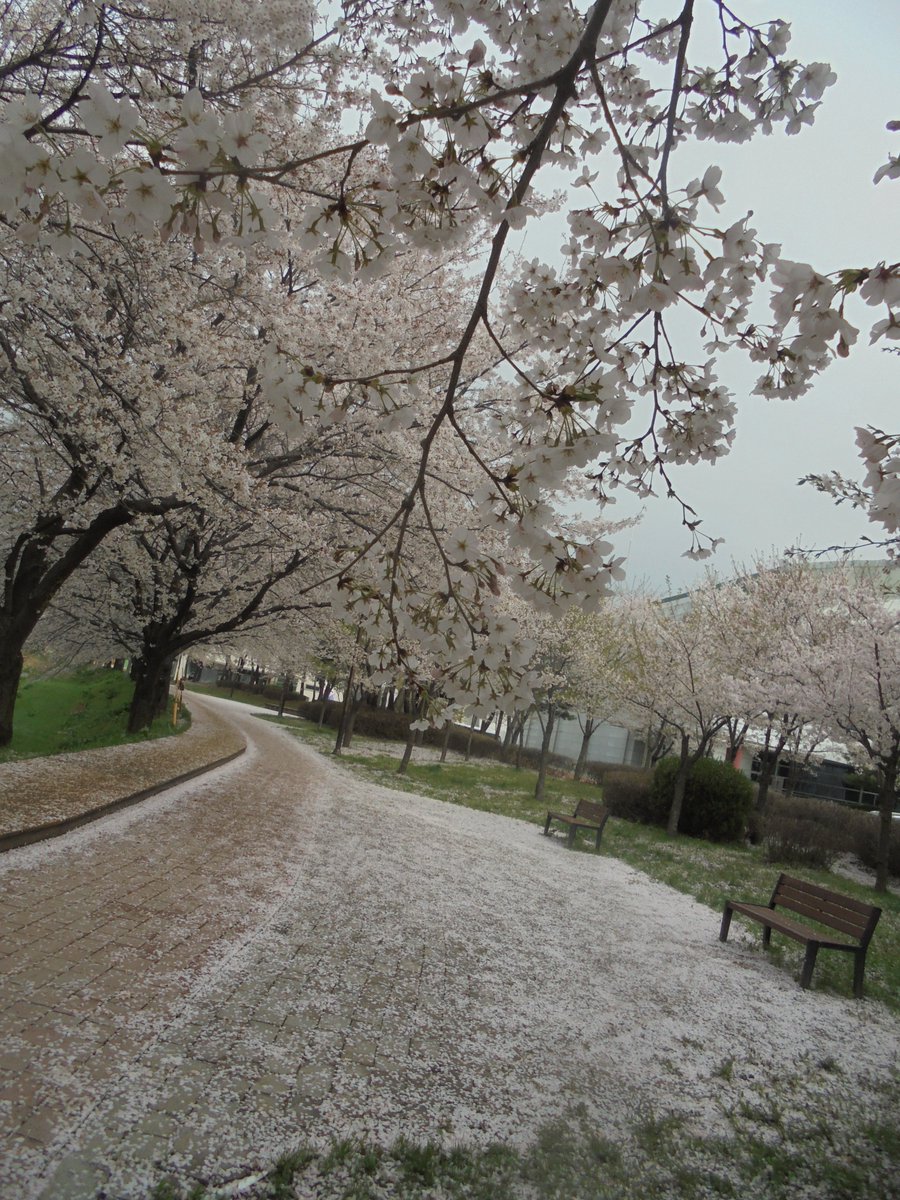 이근제 tweet media