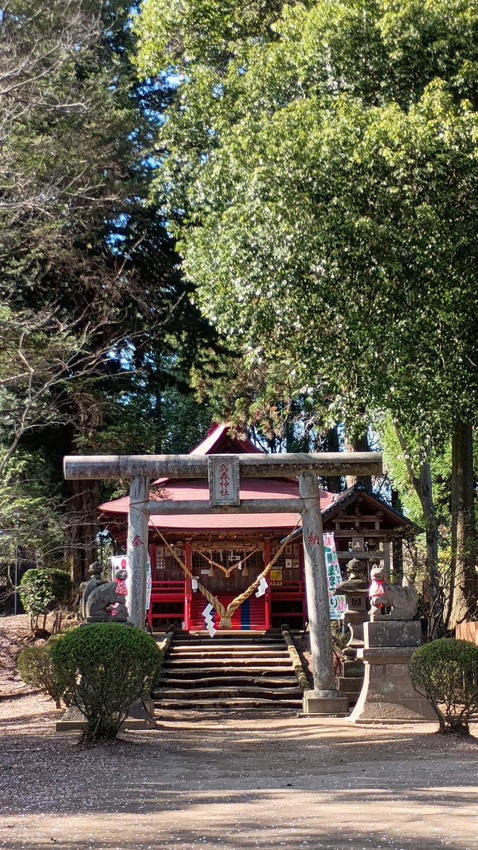 過酸化シリカ水素水 tweet media