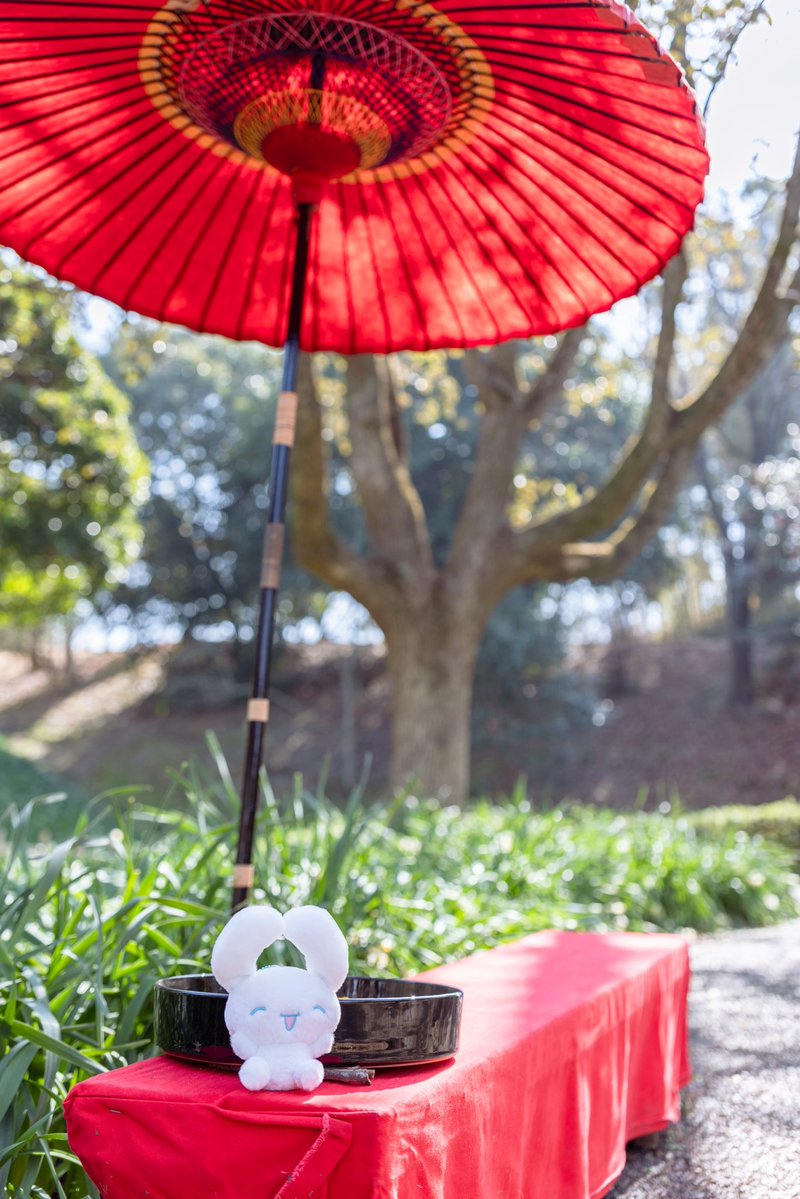 たれみみ♡ tweet media