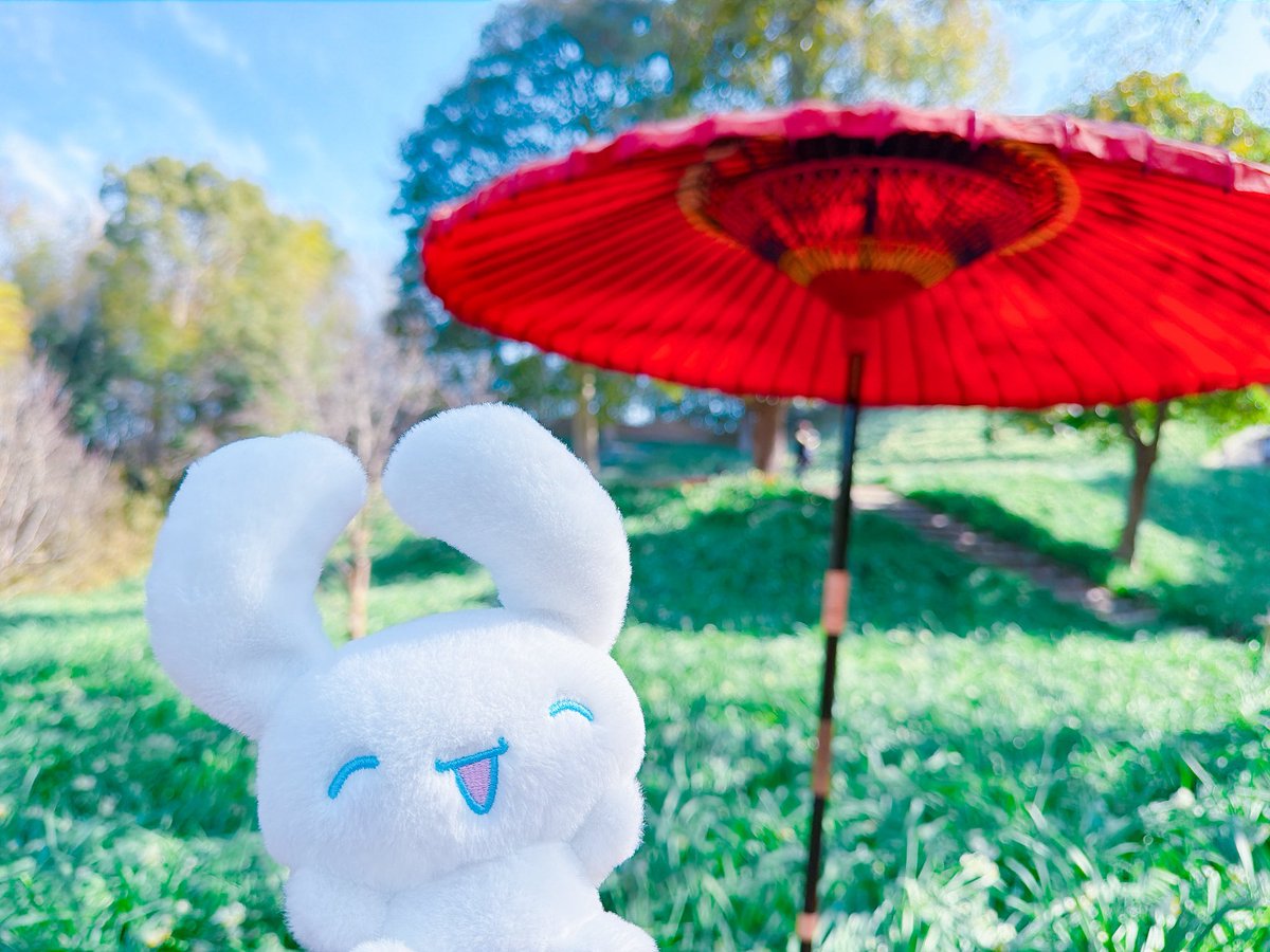 たれみみ♡ tweet media