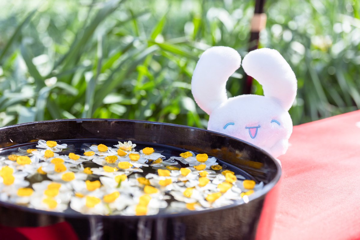 たれみみ♡ tweet media