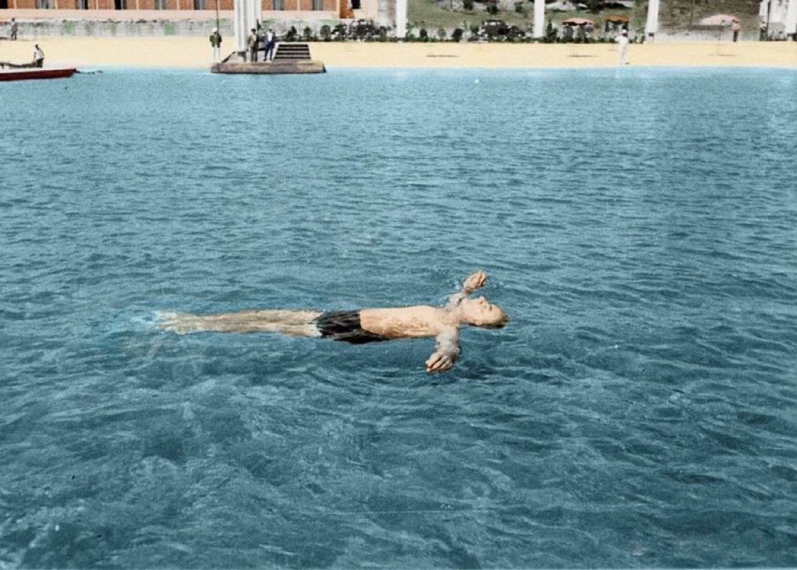 Gökçe Katun tweet media