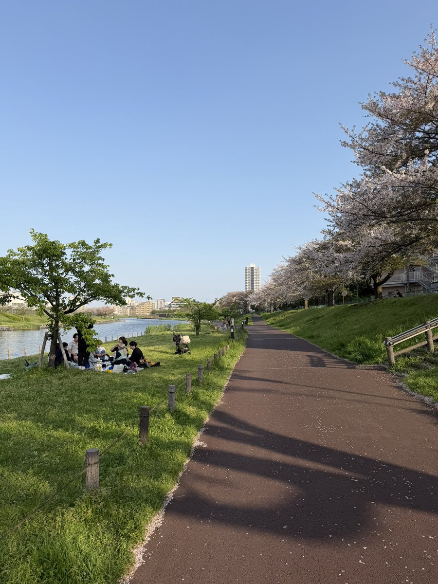 いっちゃん tweet media