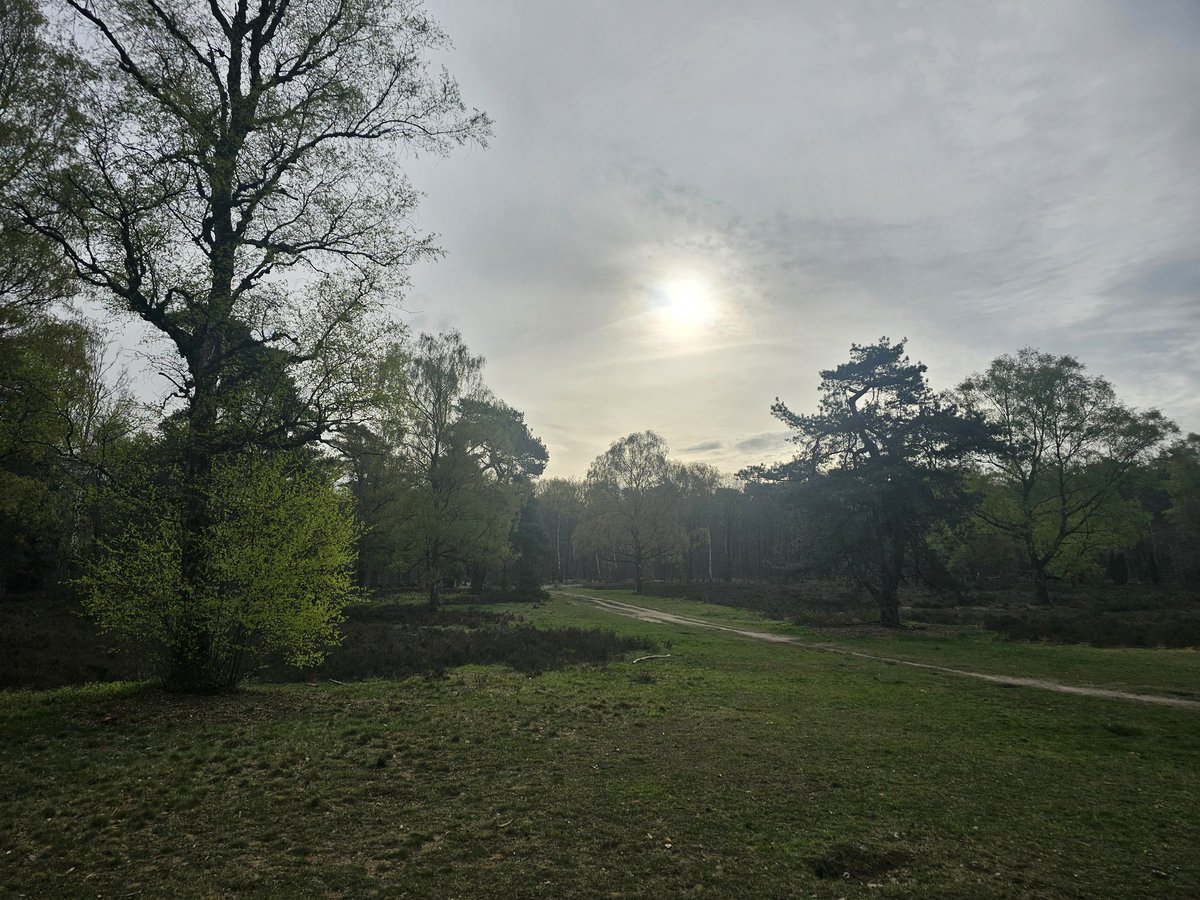 Geurt van Roekel tweet media