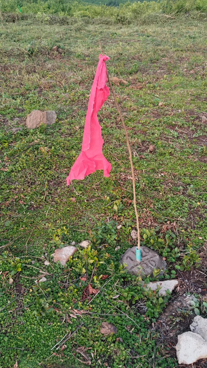 HomeAfrika tweet media