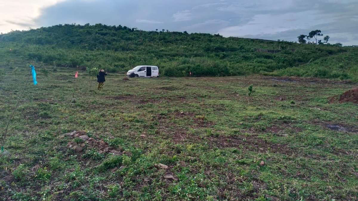 HomeAfrika tweet media