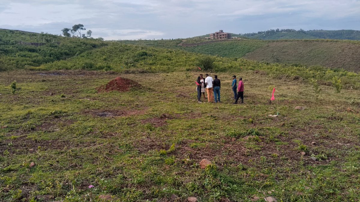 HomeAfrika tweet media