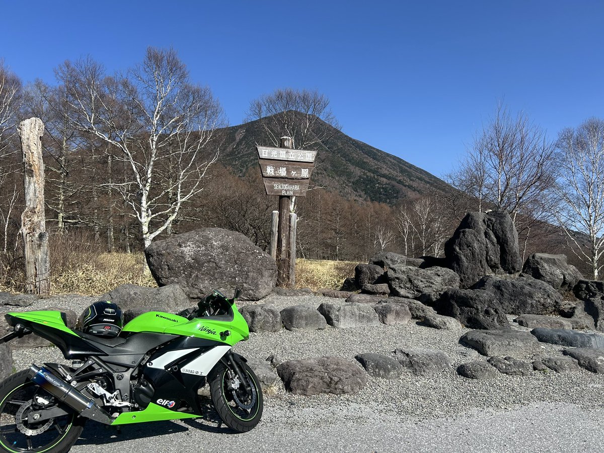 碧(あお)🚙 tweet media