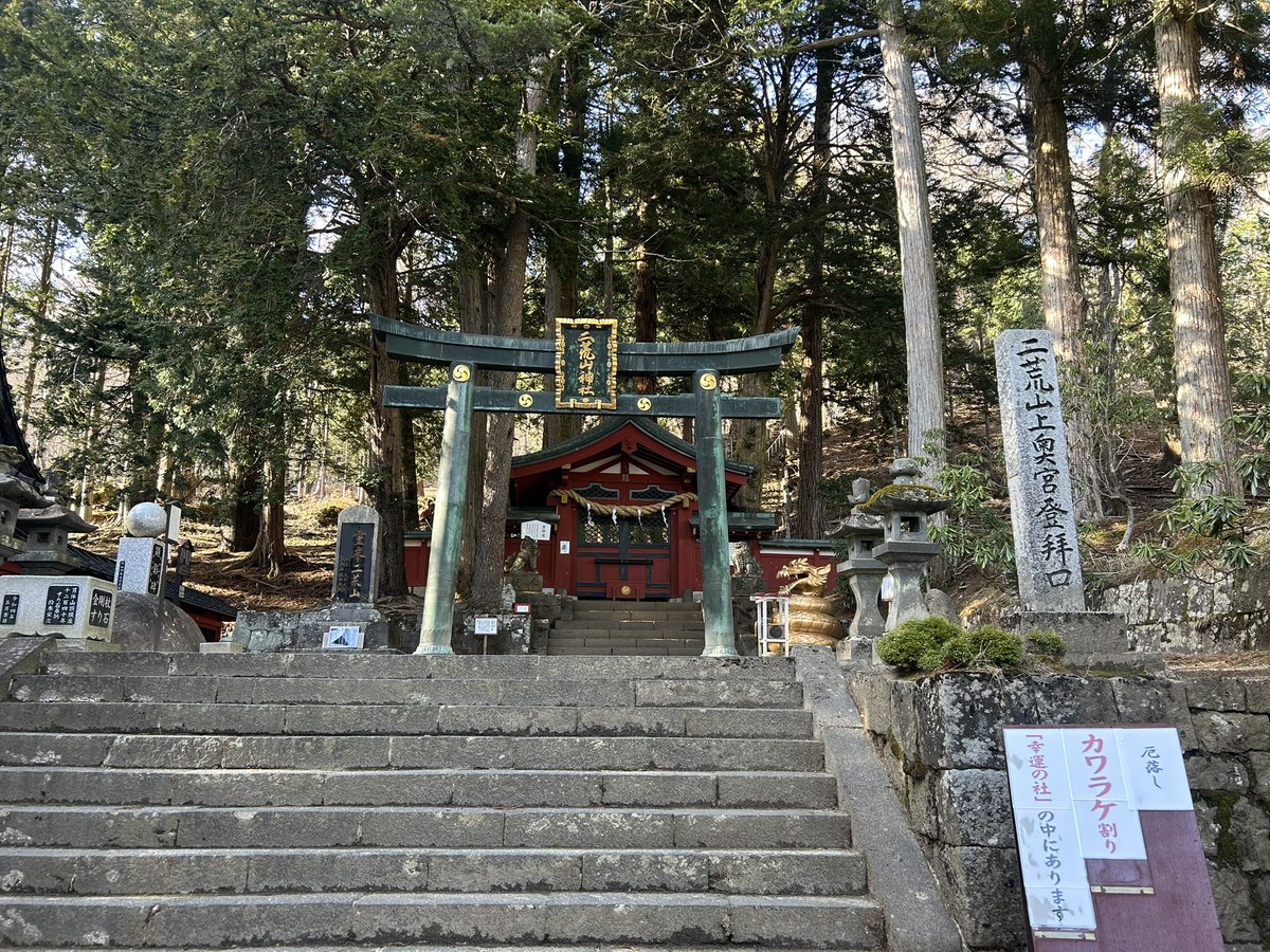 碧(あお)🚙 tweet media