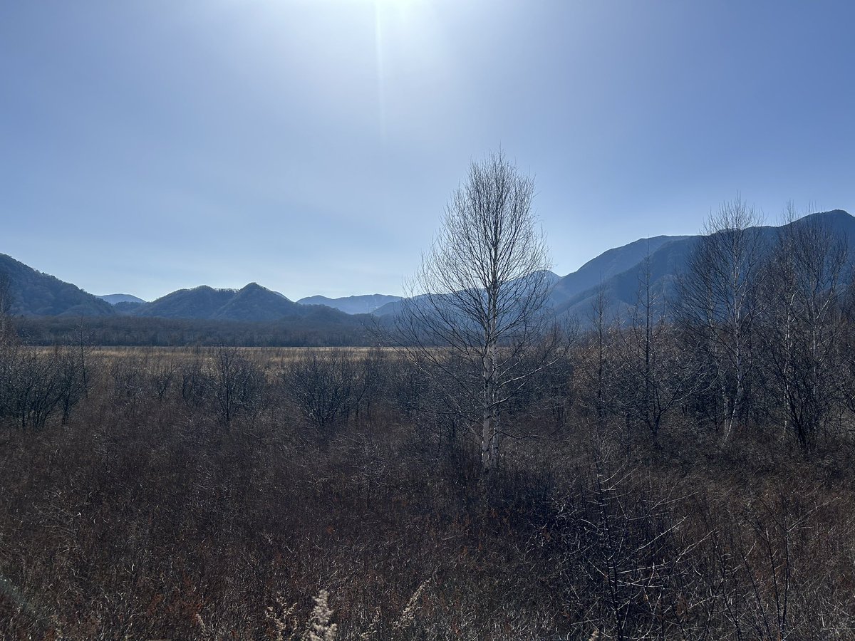 碧(あお)🚙 tweet media