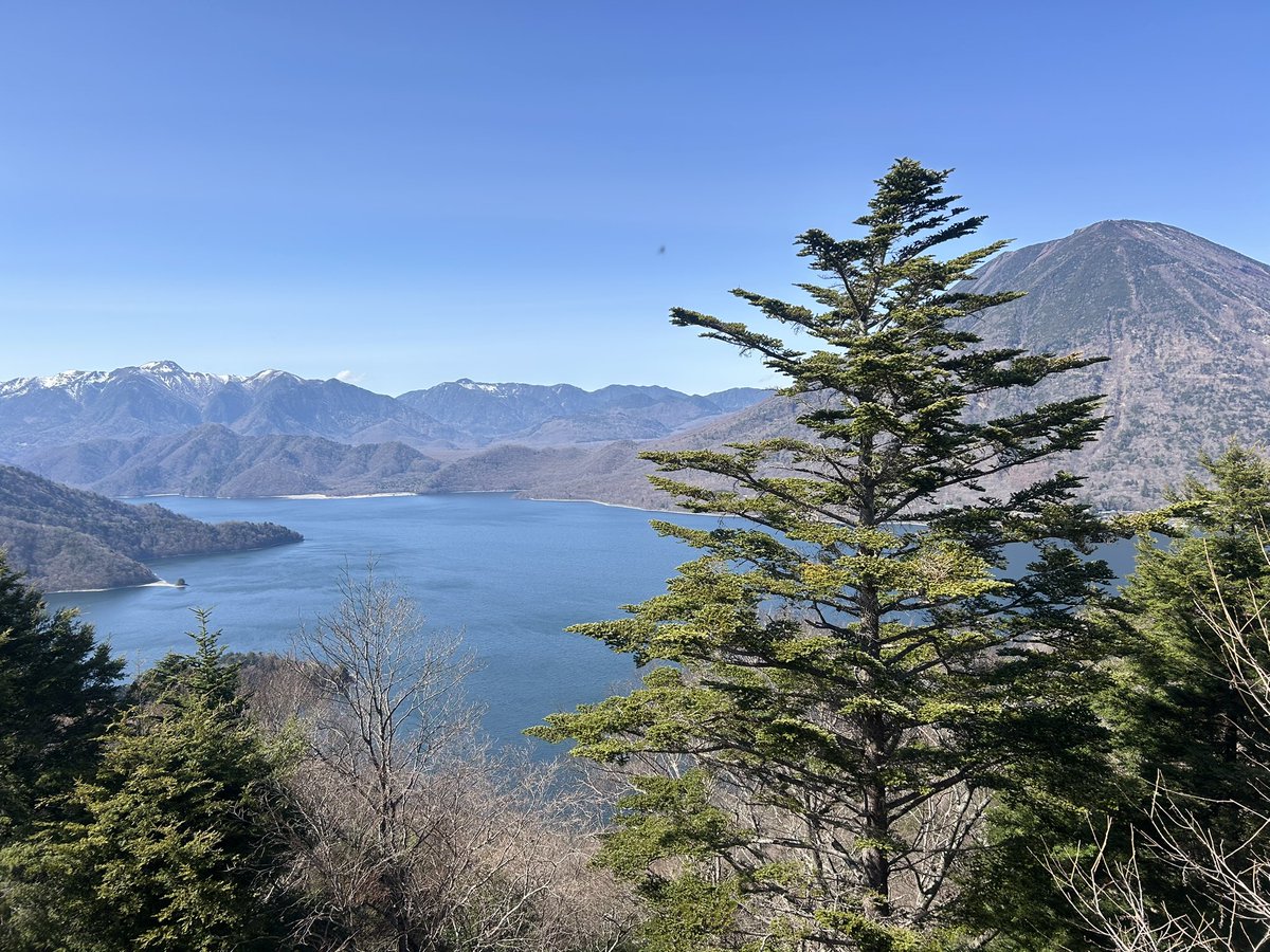 碧(あお)🚙 tweet media