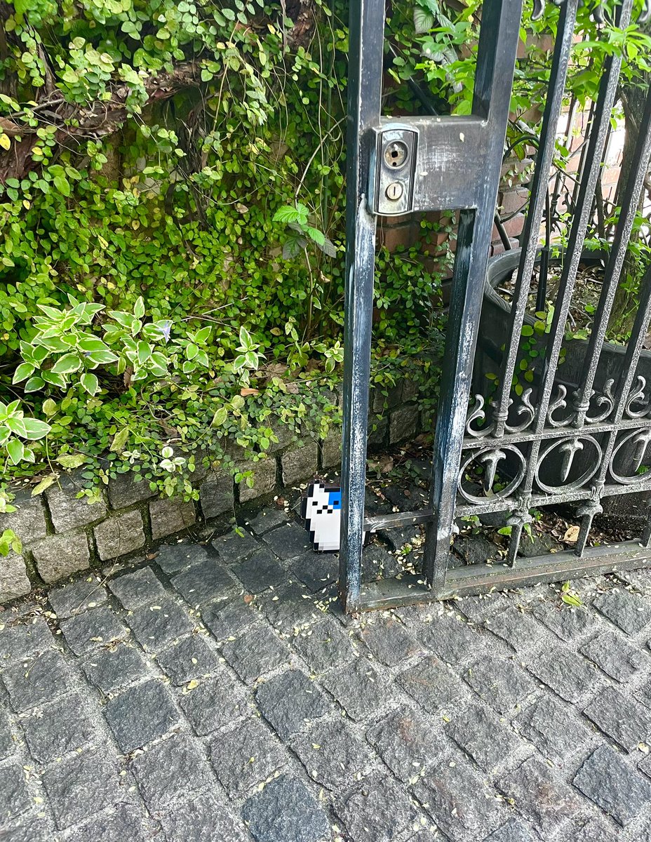 こねこ / koneko tweet media