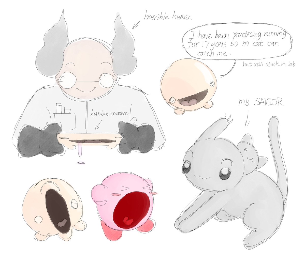 死鱼安乐 tweet media