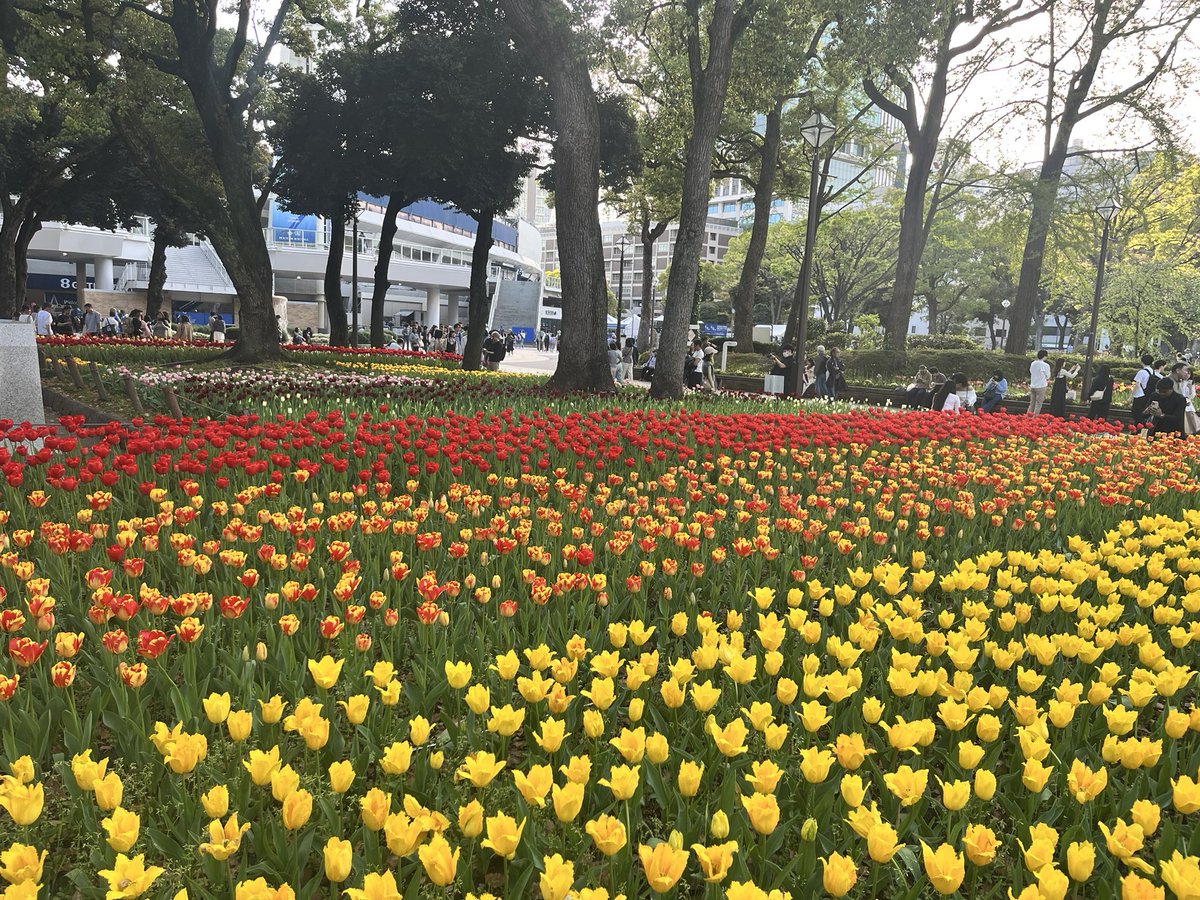 あゆみʢ•ﻌ•ʡビビ tweet media