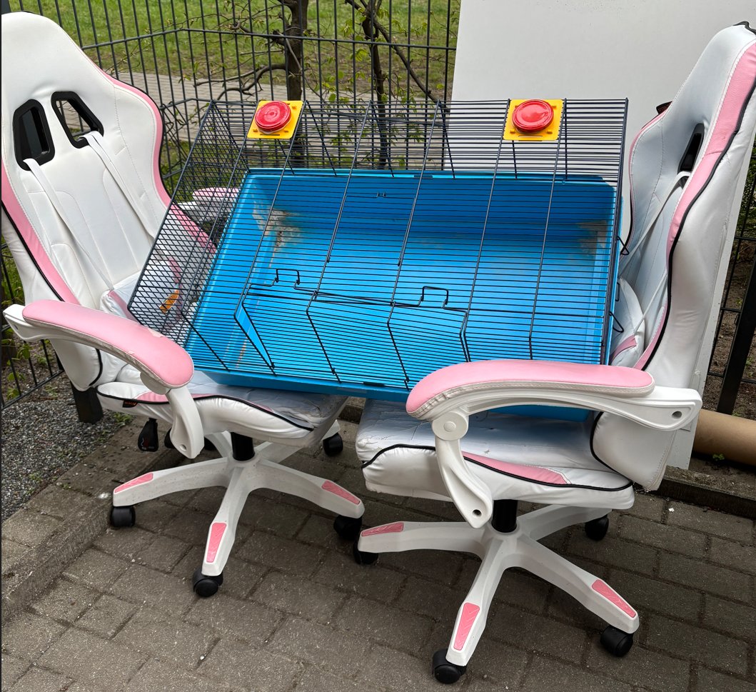 LuisenstadtFoto tweet media