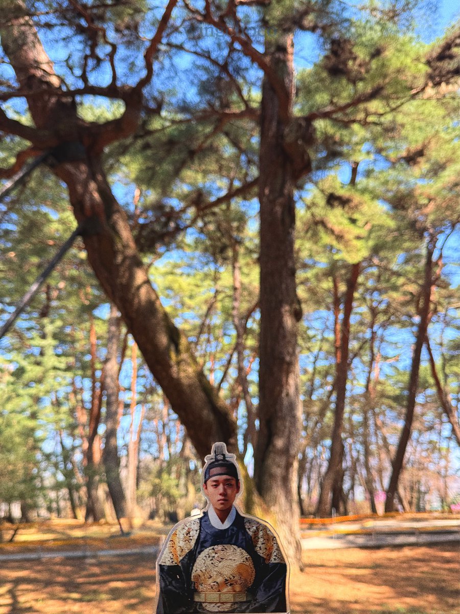 윙초코칩 tweet media