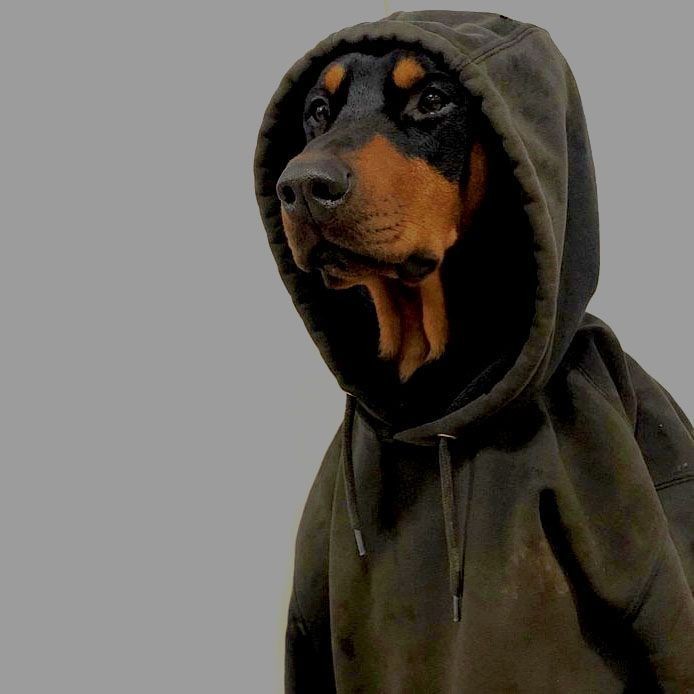 Sam Graphic tweet media