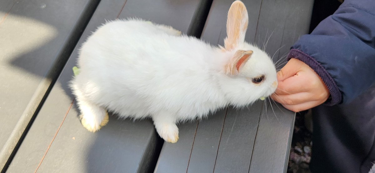 밤은 짧아, 걸어 Sig P tweet media