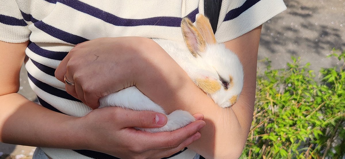 밤은 짧아, 걸어 Sig P tweet media