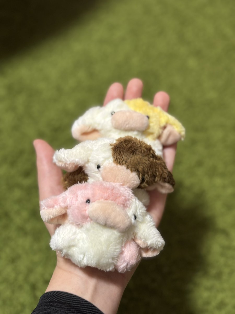 ぽこぷ tweet media