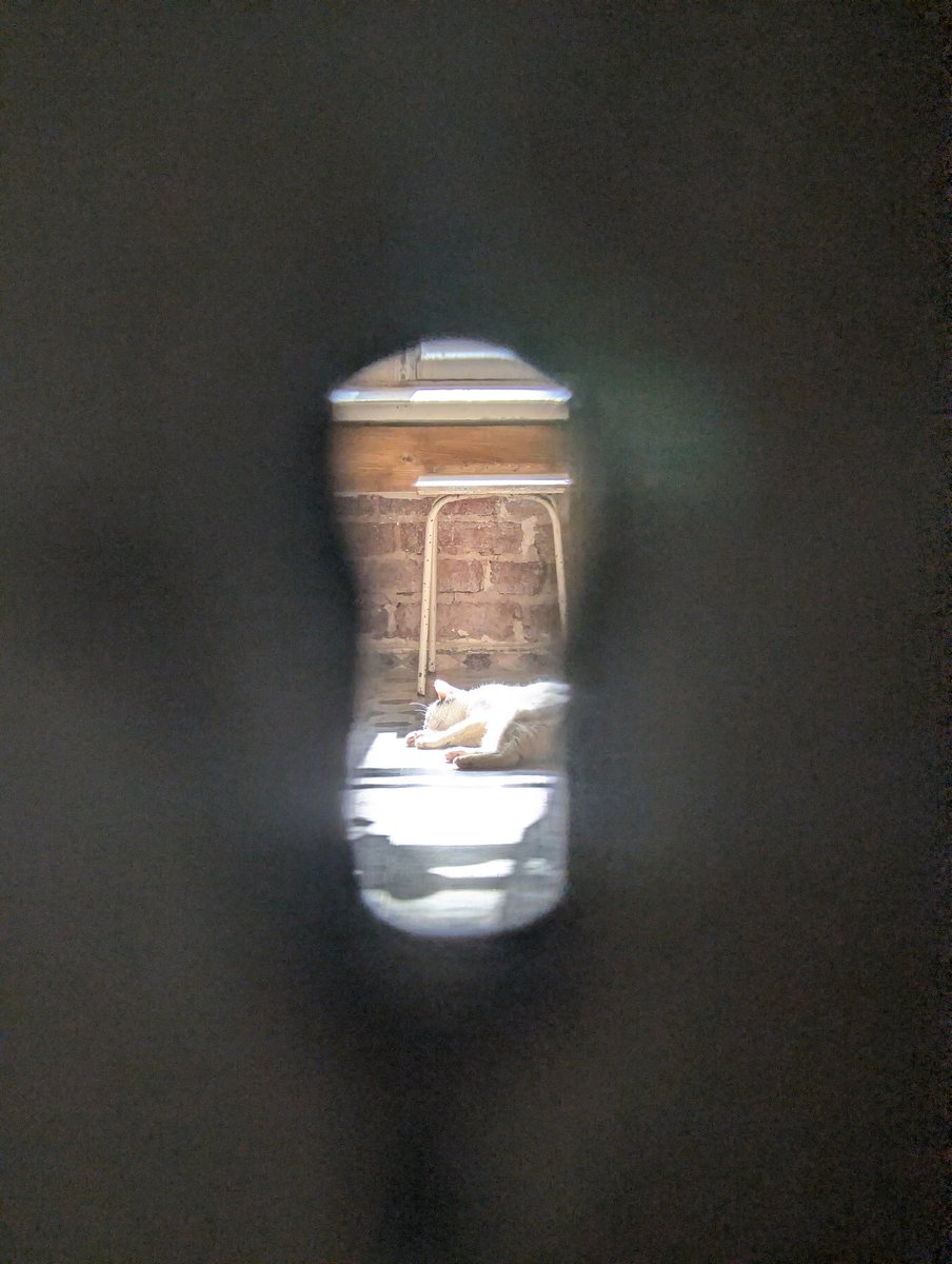 Linkoln6ego tweet media