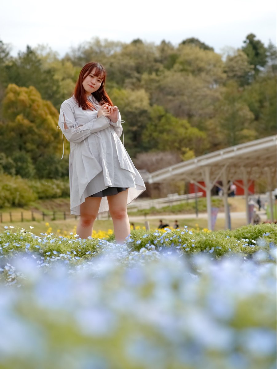 kame_wotaku's tweet image. ·:¨⋆¨:·. ⚘.·:¨ ¨:·.∴ ·:¨⋆¨:·. ⚘.·:¨ ¨:·.∴

　　　 「きっと これが恋」

·:¨⋆¨:·. ⚘.·:¨ ¨:·.∴ ·:¨⋆¨:·. ⚘.·:¨ ¨:·.∴

Model：@nyan_nandol 
#ポートレート #portrait
#ファインダー越しの私の世界