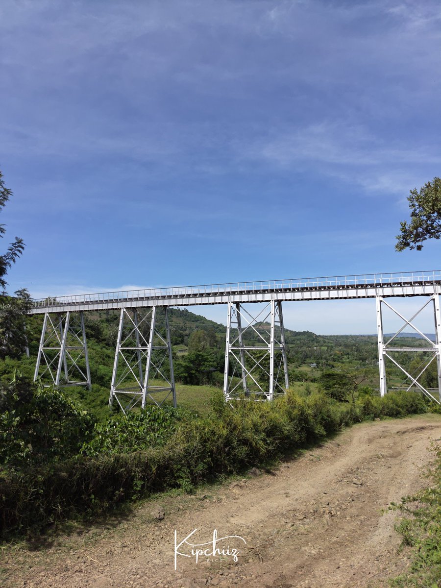 GREAT-NESS tweet media