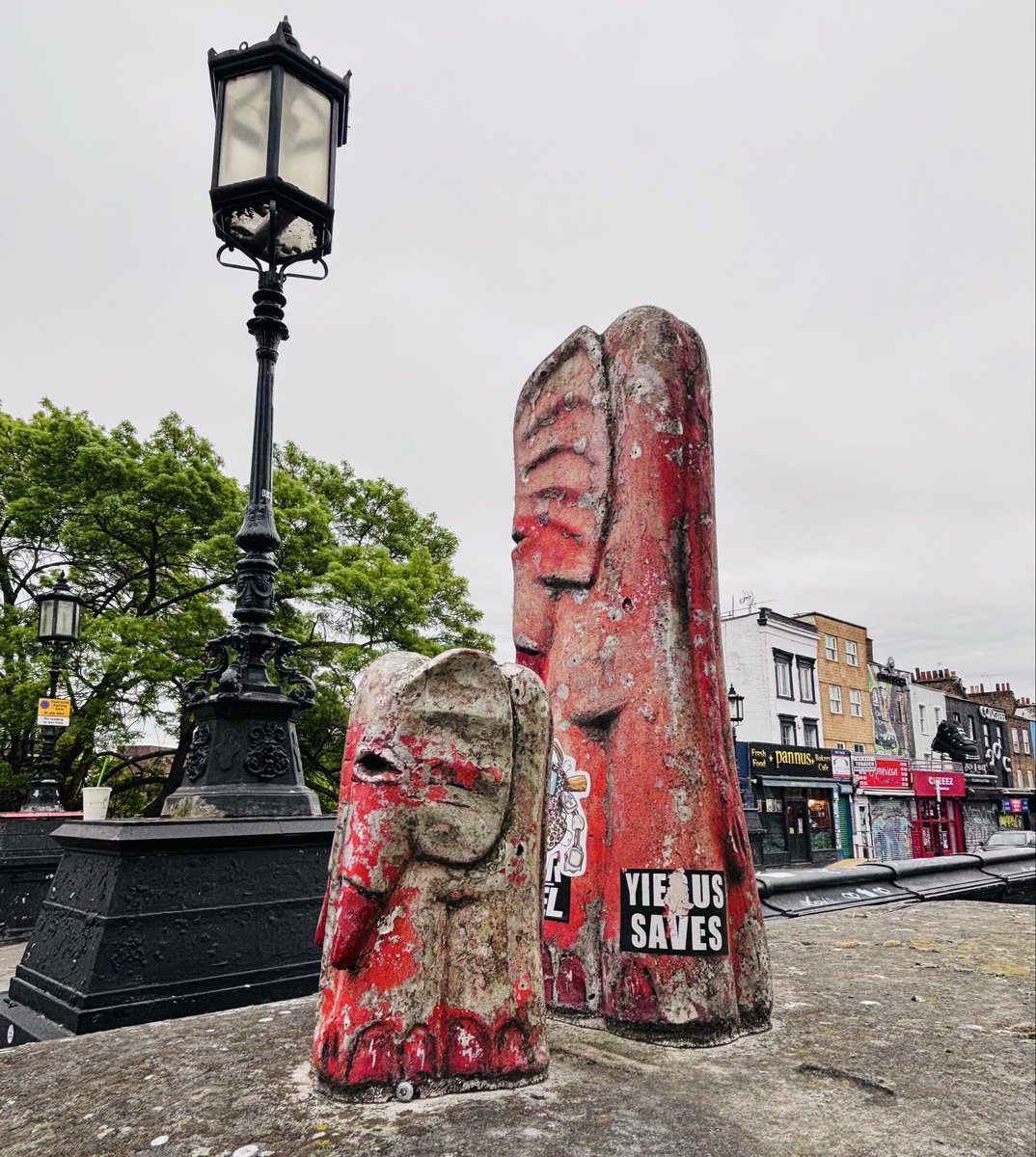 Amy Coyle 🫐 tweet media