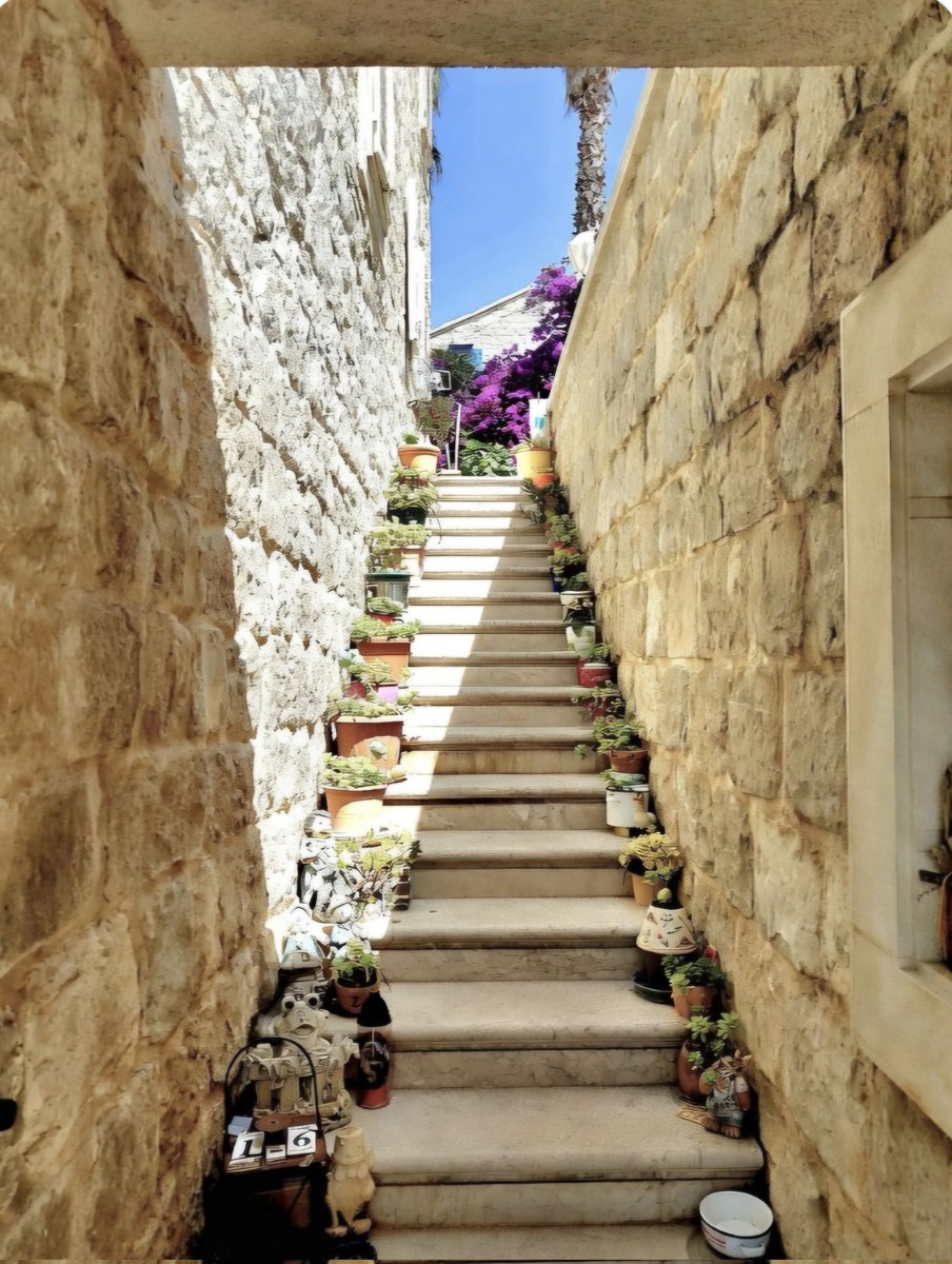 Zdenko Franic tweet media