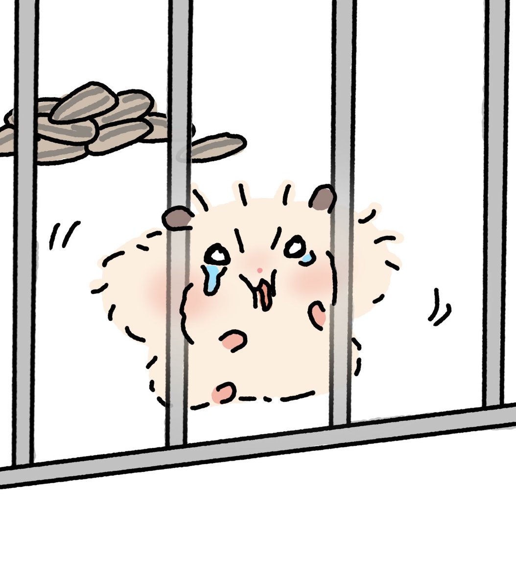 꼬질햄 tweet media