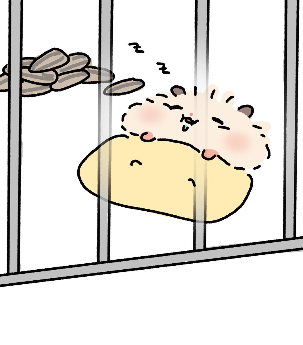 꼬질햄 tweet media