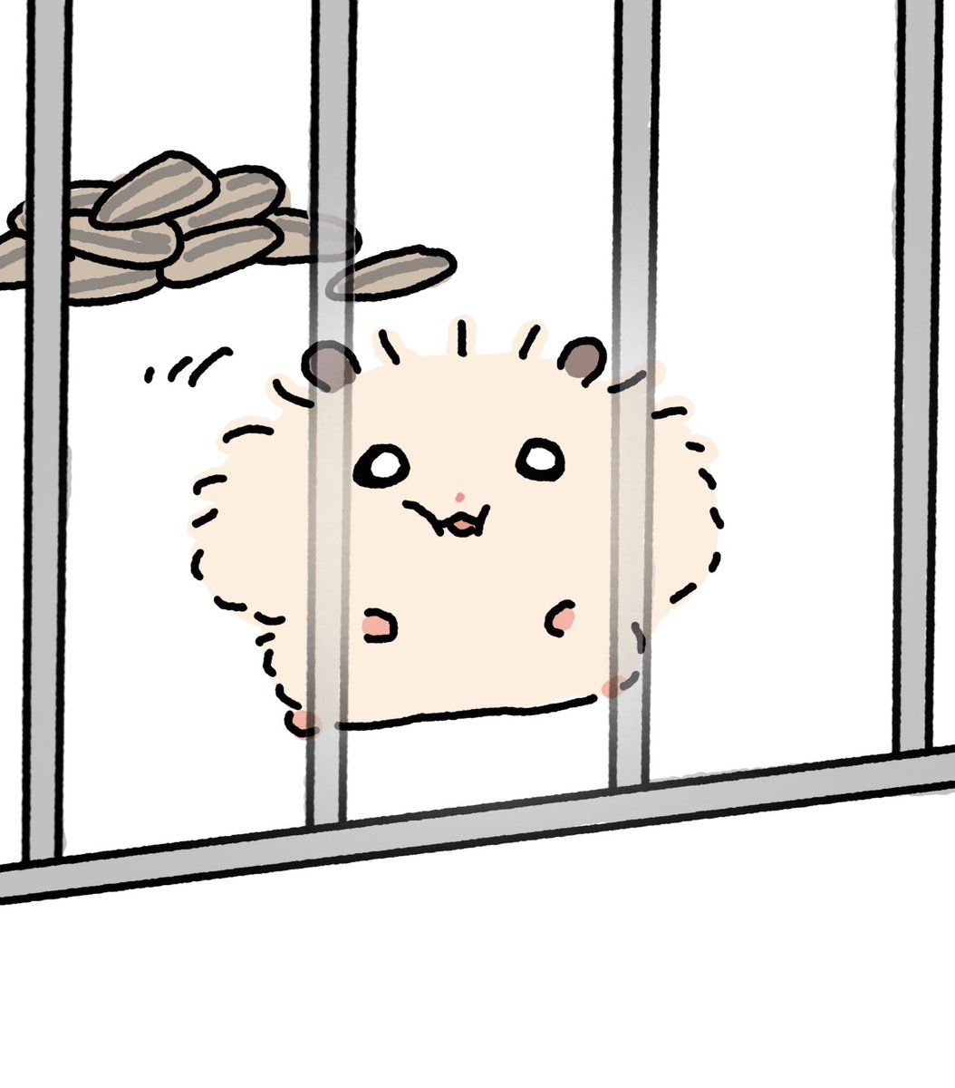 꼬질햄 tweet media