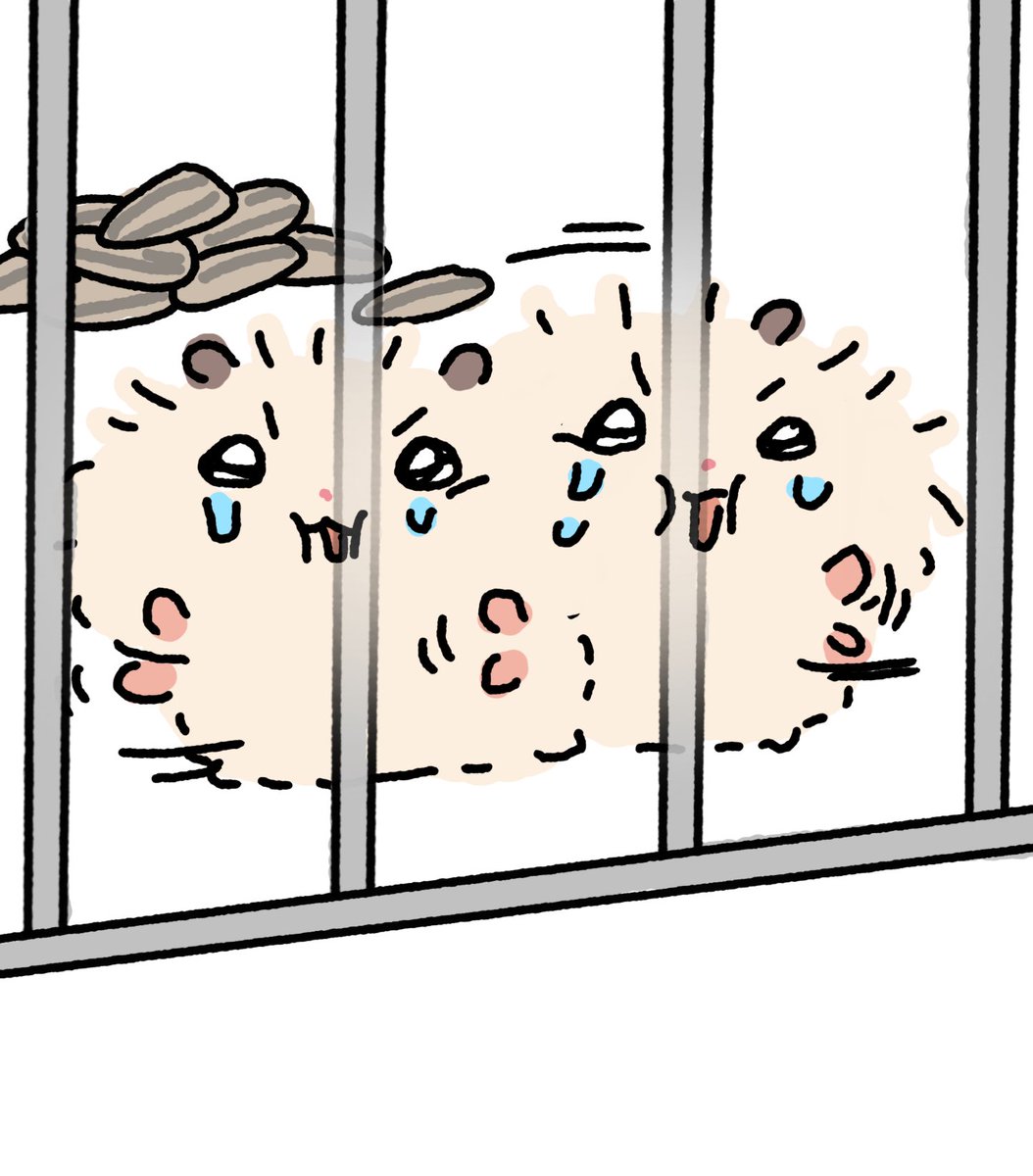 꼬질햄 tweet media