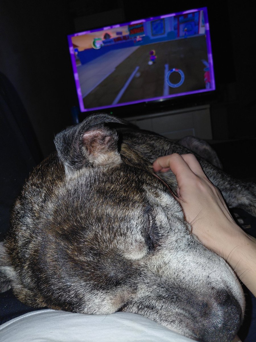 HighGround tweet media