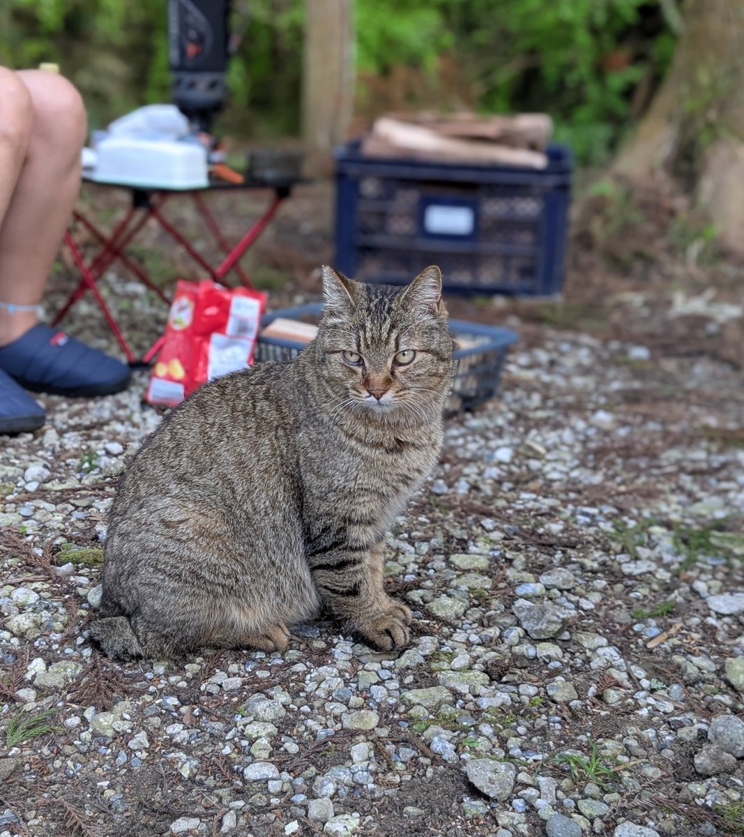 ばなな tweet media