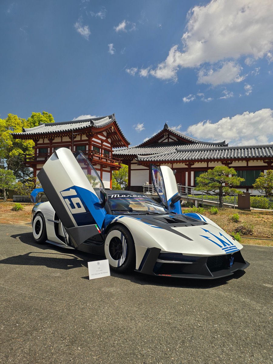 Angelfish tweet media