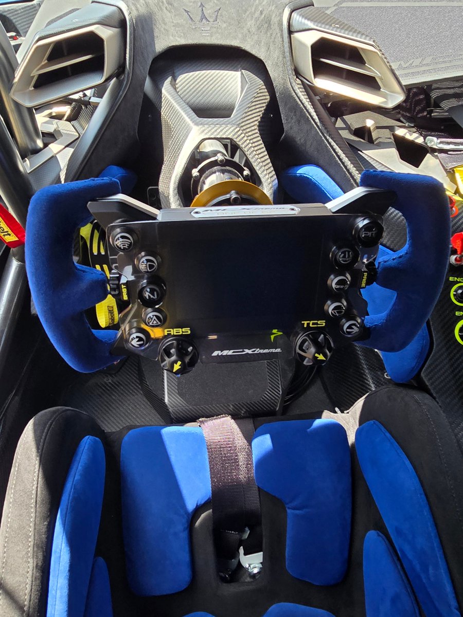 Angelfish tweet media