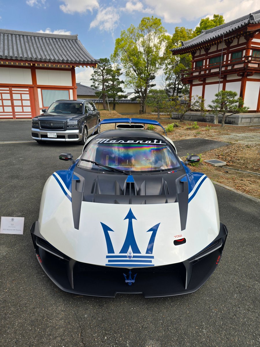 Angelfish tweet media