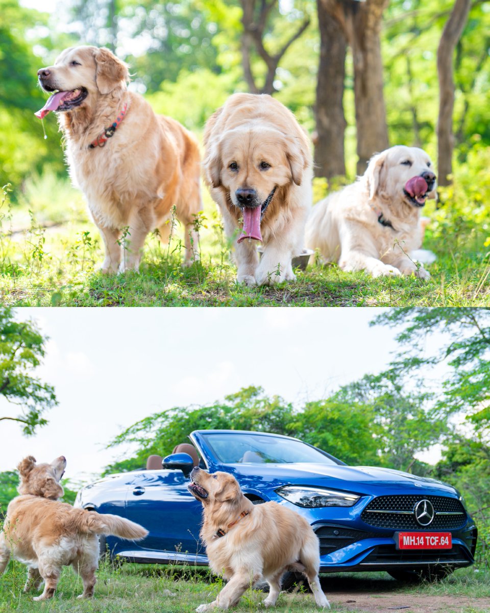 Mercedes-Benz India tweet media