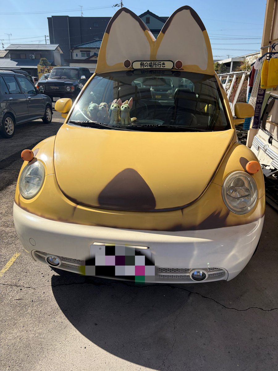 傷予防塗装と消せるプリント変わってる車屋Dーzone tweet media