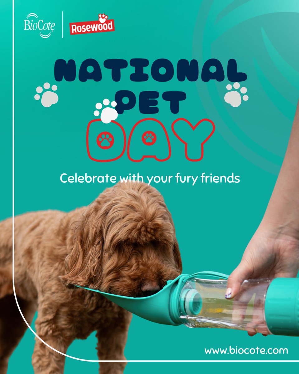 BioCote's tweet image. Pets are part of everyday life, so are the products that support them 🐾

In partnership with @rosewoodpet, this innovation is applied to selected BioSafe products, including the 2-in-1 travel bottle. 

#NationalPetDay #PetProductInnovation #MaterialInnovation #BioCotePartner