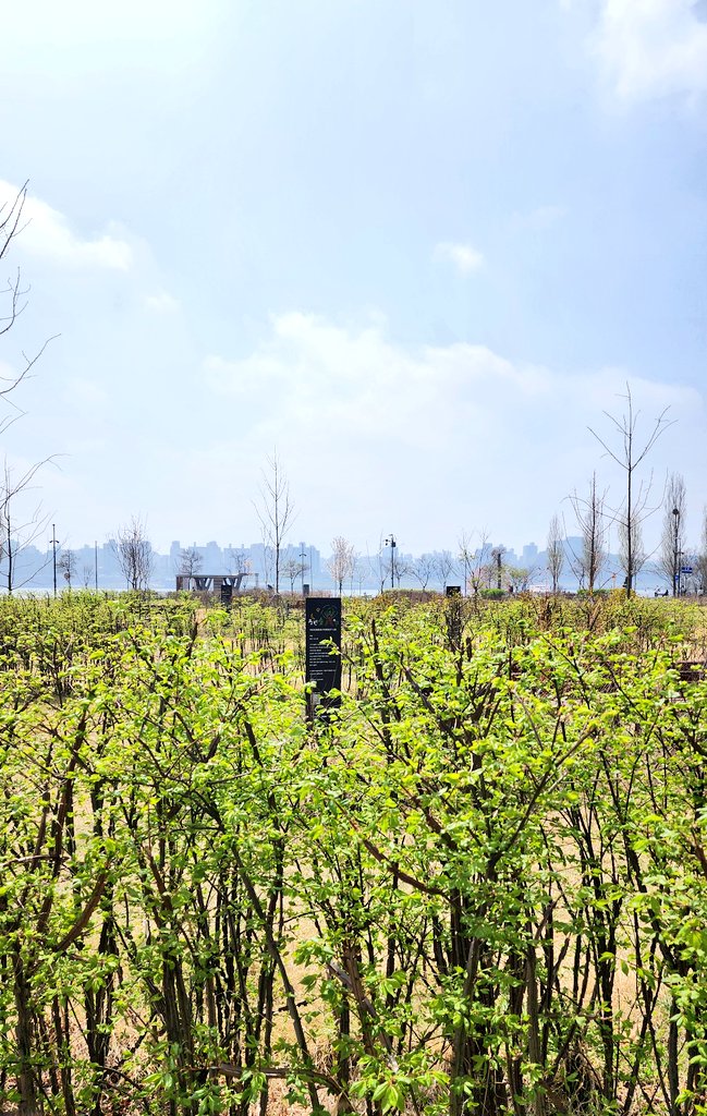 ๋ฌ๋น๐ tweet media