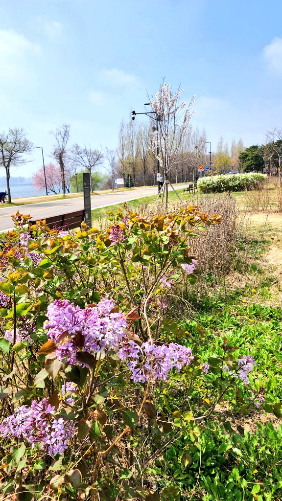 ๋ฌ๋น๐ tweet media