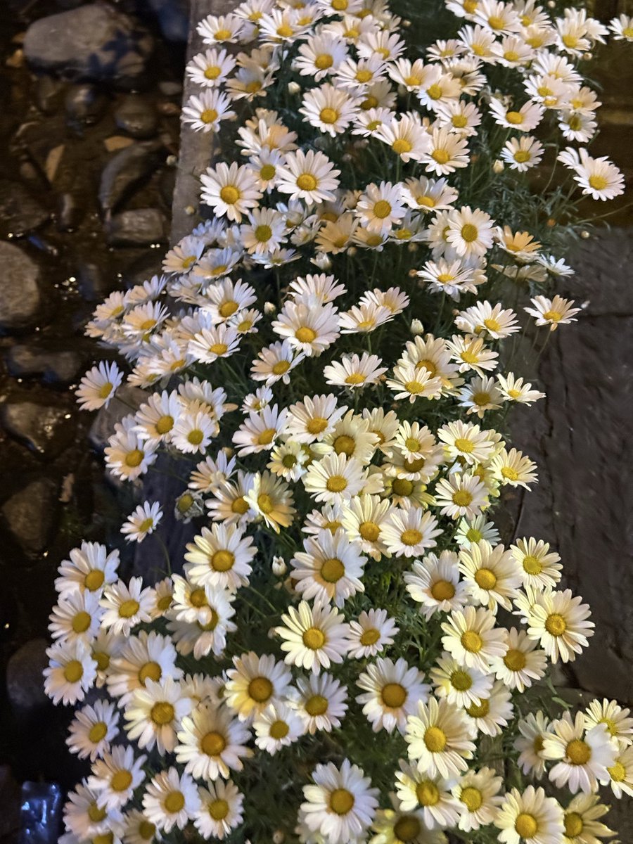 Pppppppp tweet media