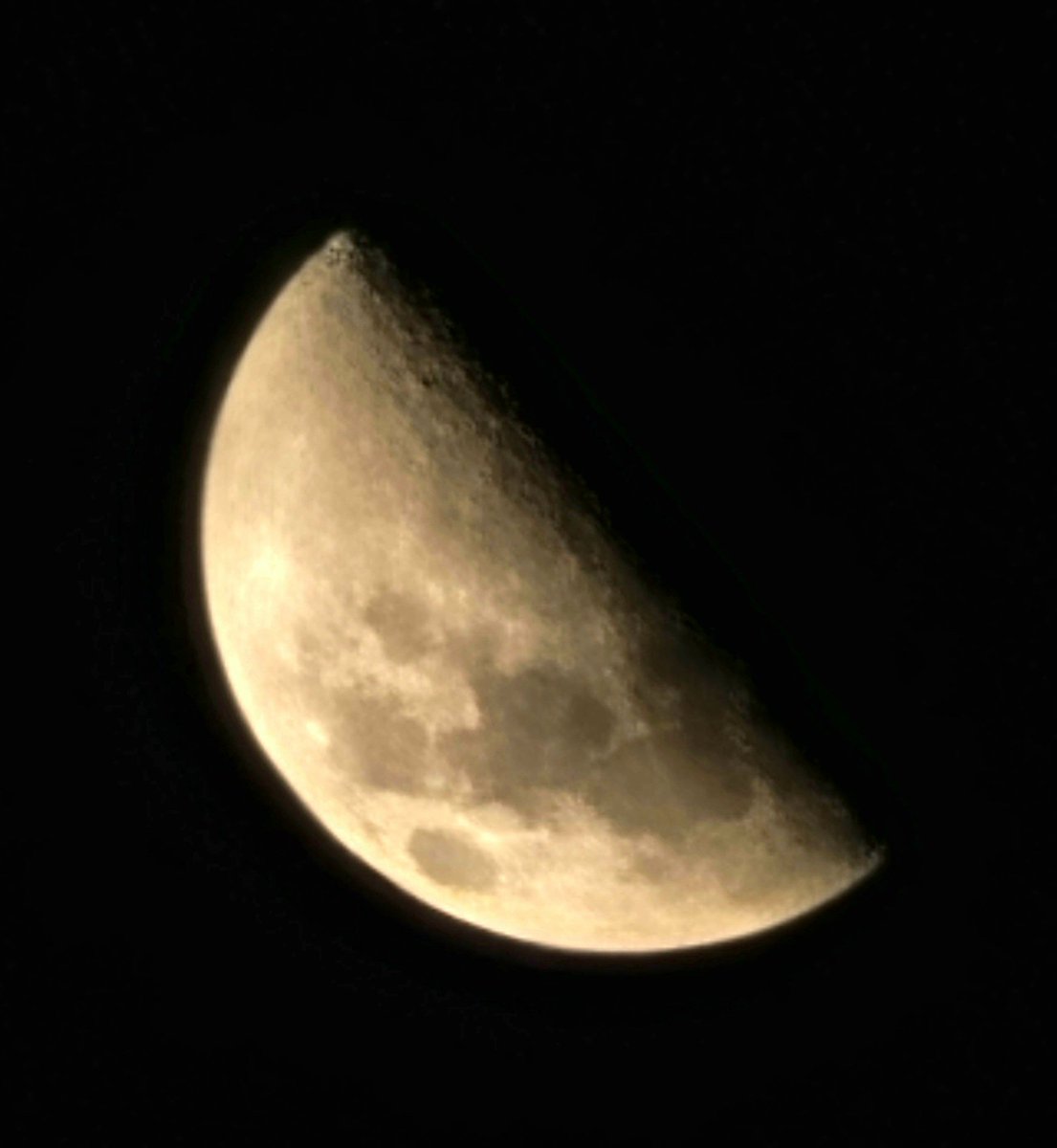 निःशोर🕊️ tweet media