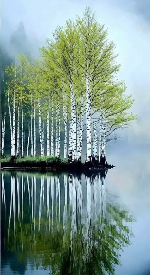 Kees Vaandering tweet media